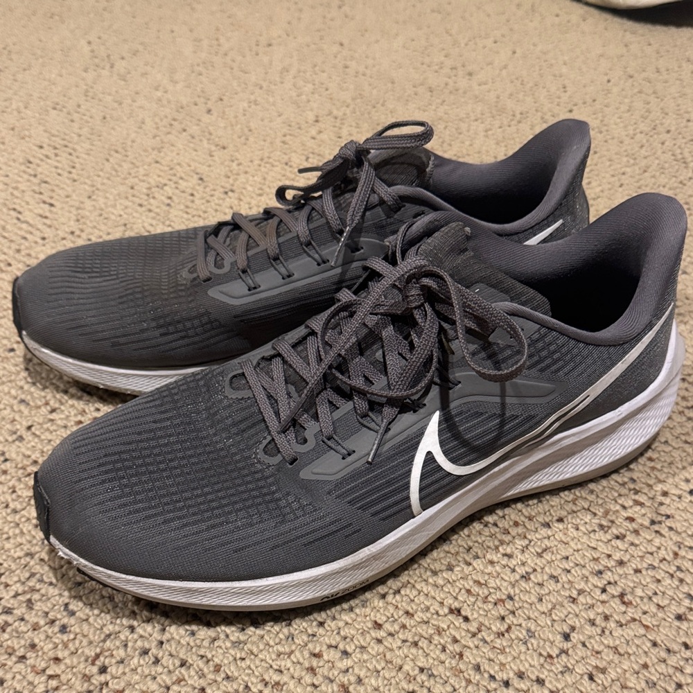 Nike Pegasus Charcoal Gray Running Shoes